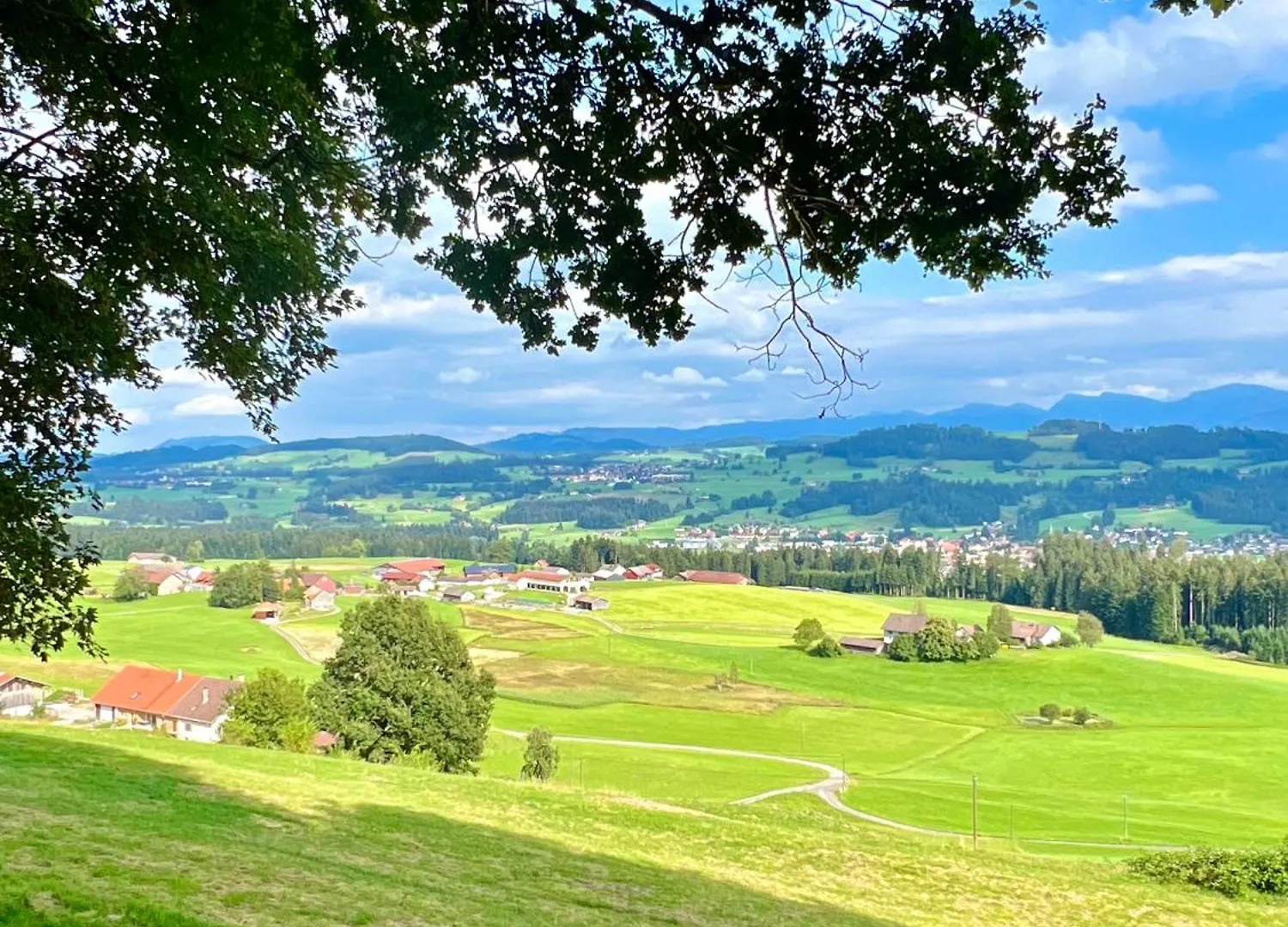 Ferienwohnung Wolkenfrei Mit Pool Und Sauna Scheidegg 0*,  Germany